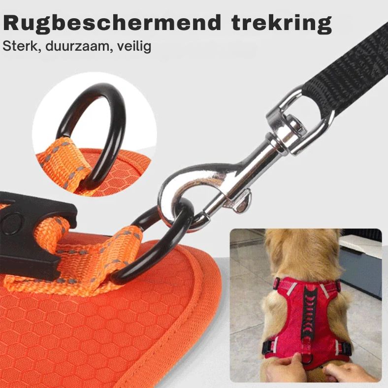 Reflective Dog Harness for Maximum Visibility and Comfort