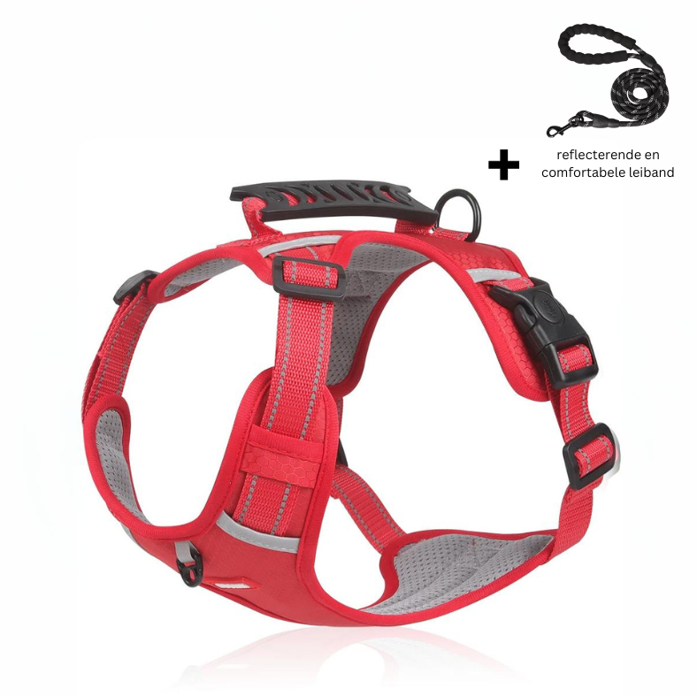 Reflective Dog Harness for Maximum Visibility and Comfort