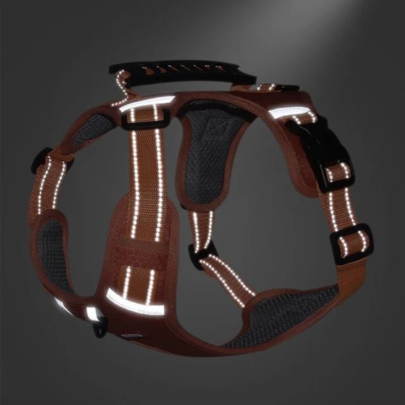 Reflective Dog Harness for Maximum Visibility and Comfort