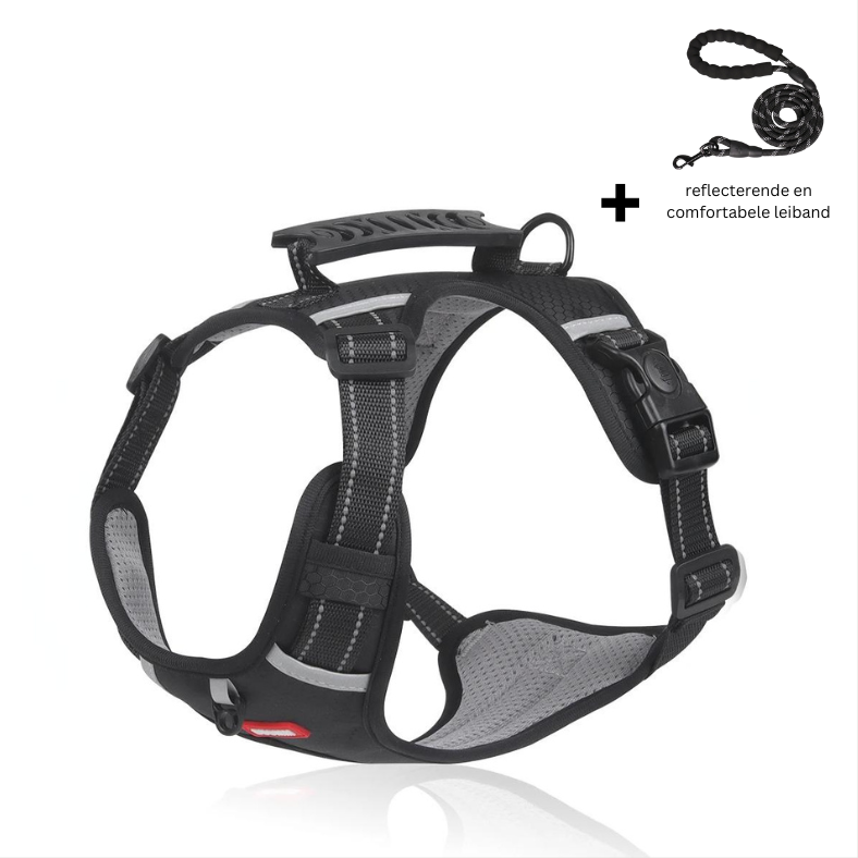 Reflective Dog Harness for Maximum Visibility and Comfort
