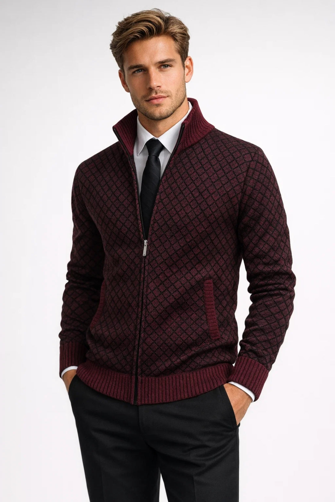 Image of Riley | Men's Zip-Up Stand Collar Cardigan