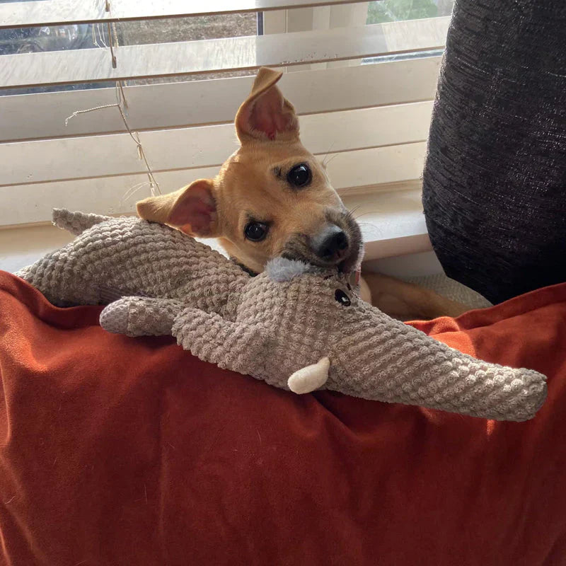 Robust Dog Toy - Extreme Durability & Dental Care