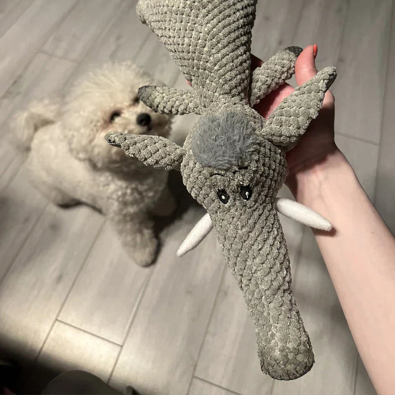 Robust Dog Toy - Extreme Durability & Dental Care