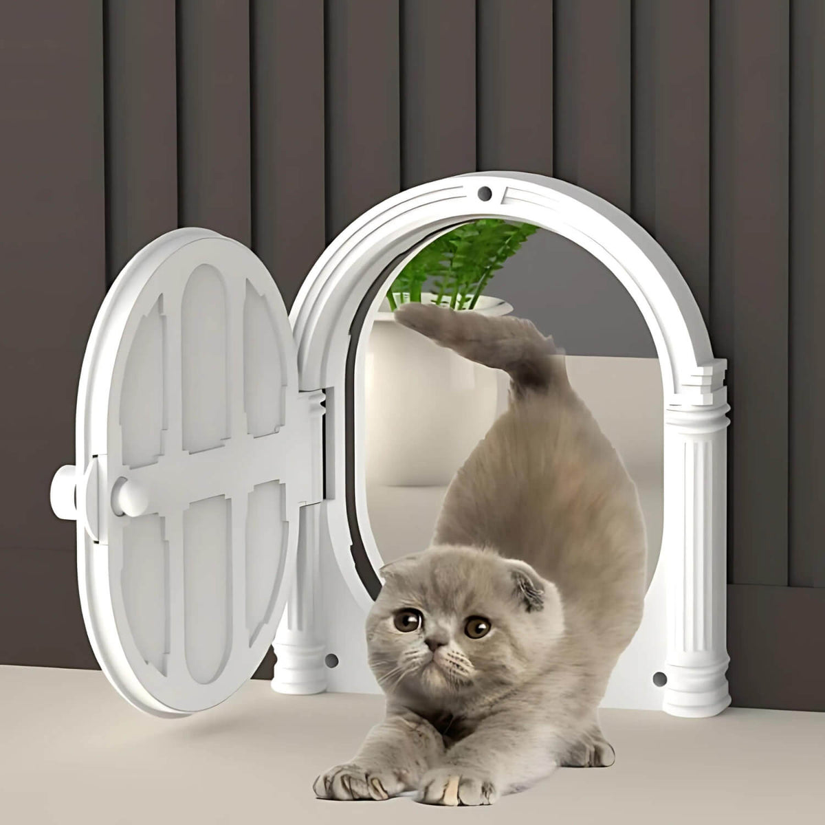 Roman Style Cat Door (Also Suitable for Small Dogs)