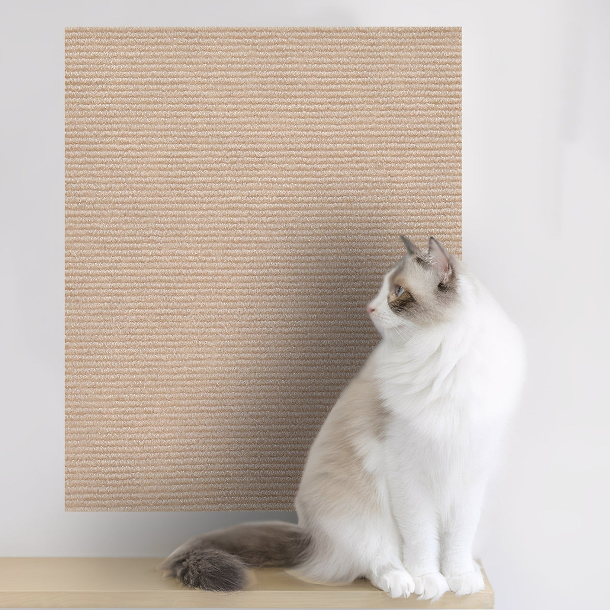 Self-Adhesive Cat Scratch Mat Furniture Protector Pad