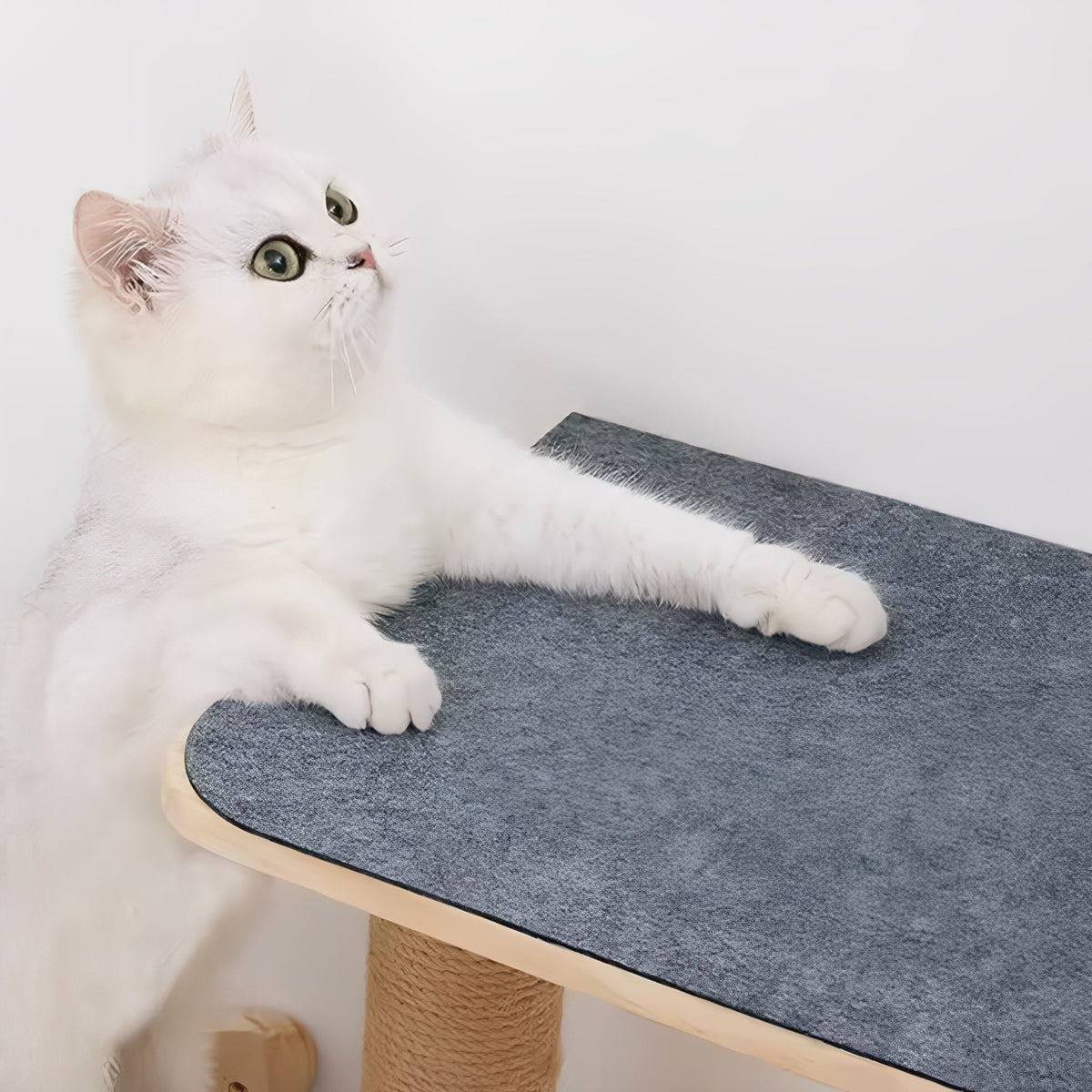 Self-Adhesive Cat Scratch Mat Furniture Protector Pad