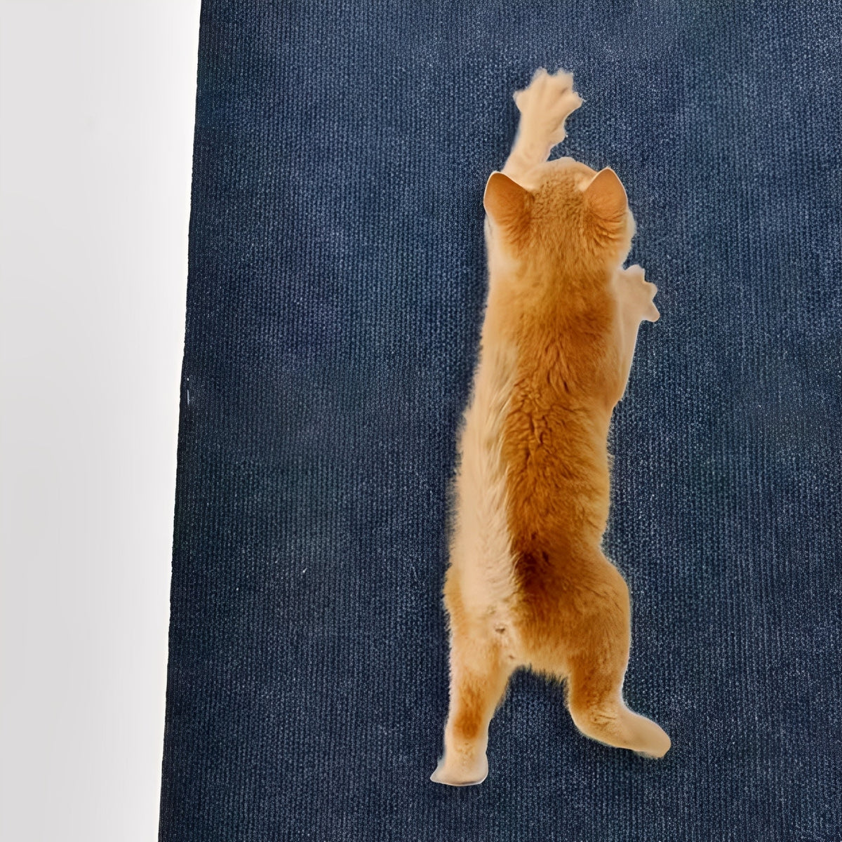 Self-Adhesive Cat Scratch Mat Furniture Protector Pad