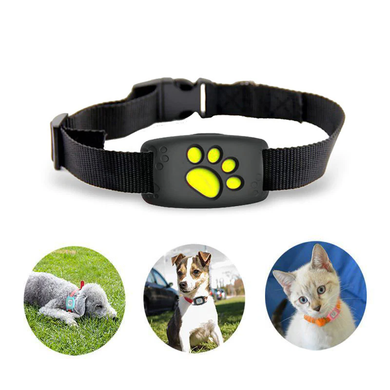 Smart GPS Cat Collar | Real-Time Tracking | Safety