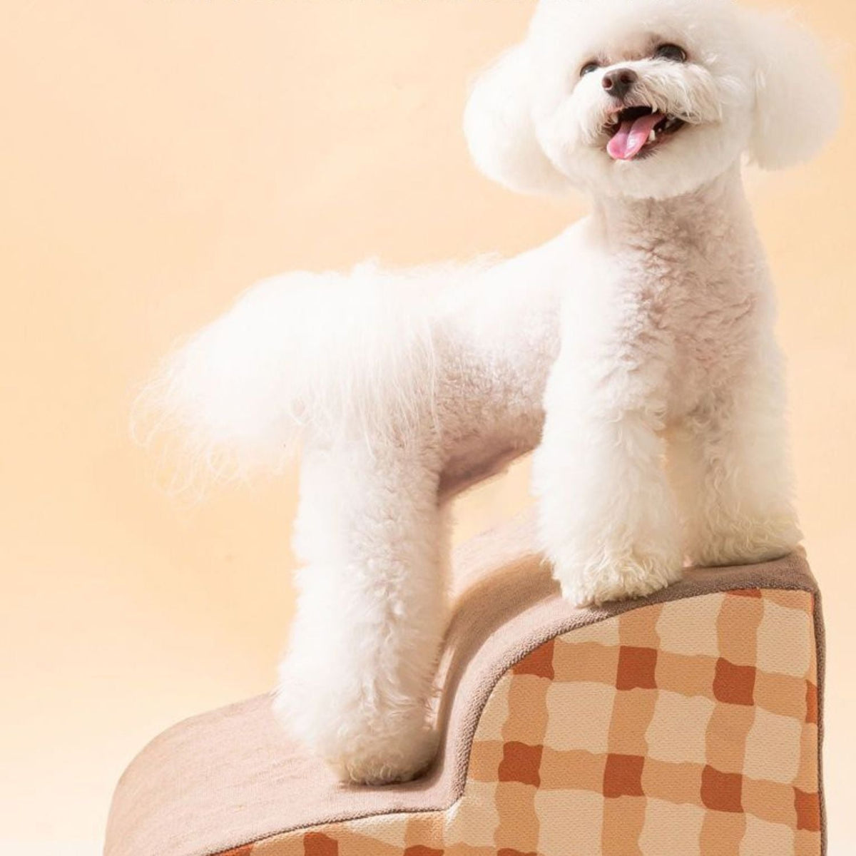 Soft Dog Stairs | Easy Access to Bed and Sofa, Removable and Washable