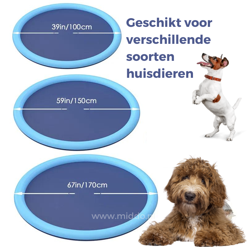 SplashZone™: Cooling Water Fun for Kids and Pets!
