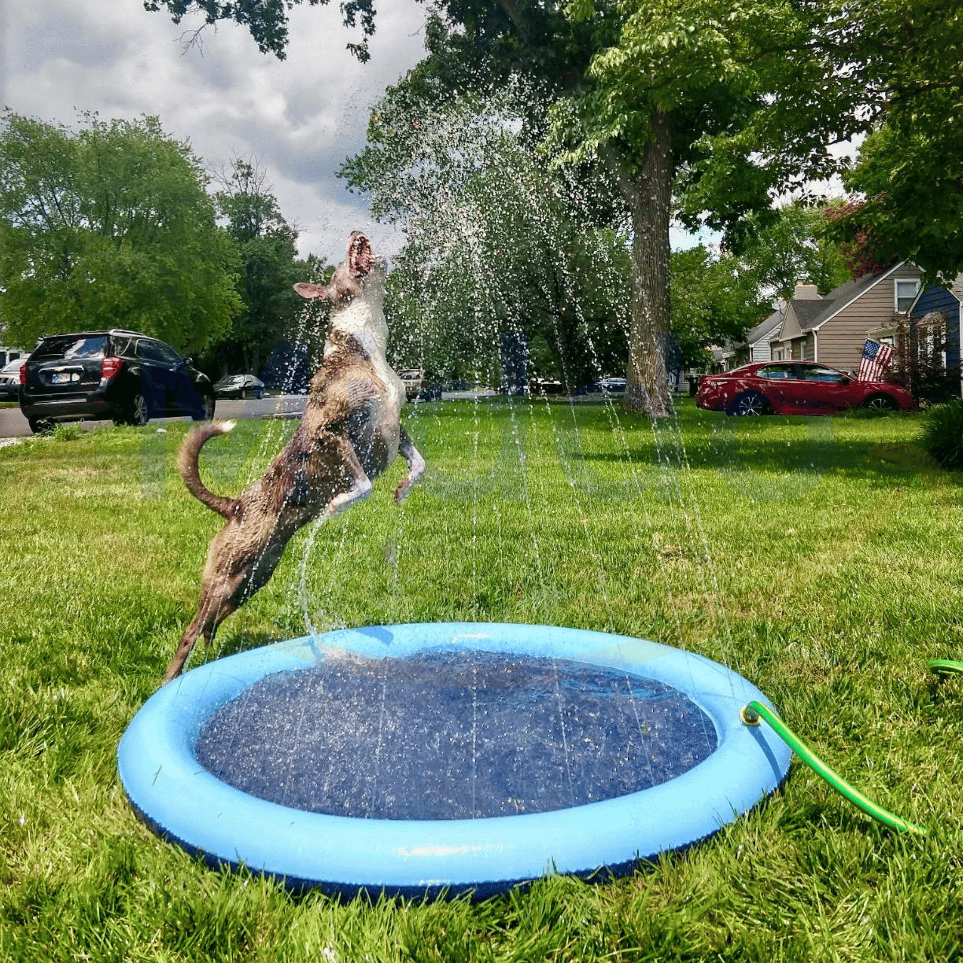SplashZone™: Cooling Water Fun for Kids and Pets!