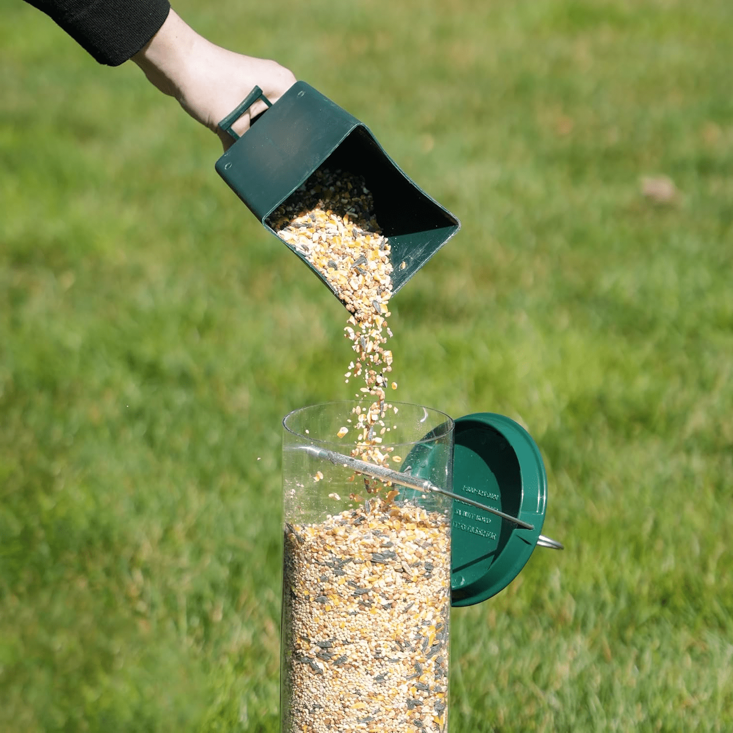 Squirrel-Proof Metal Bird Feeder with Rotating Perch