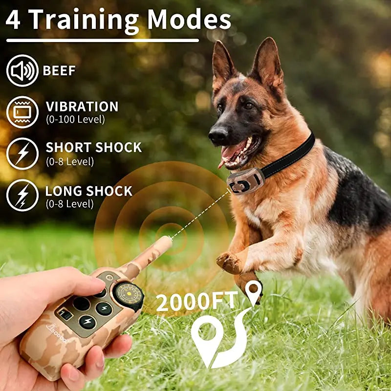 Training Collar for Effective Remote Dog Training