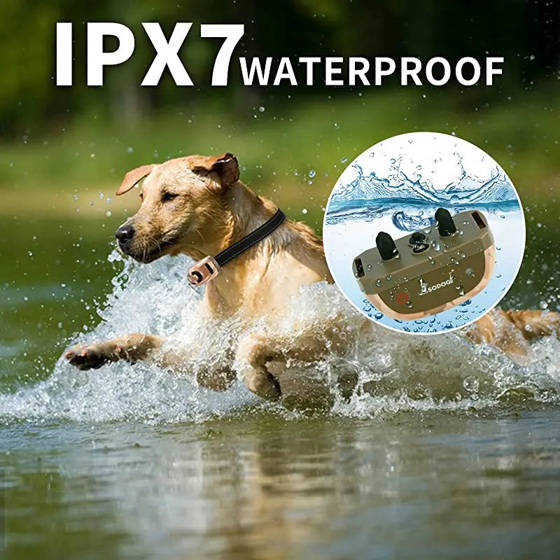 Training Collar for Effective Remote Dog Training