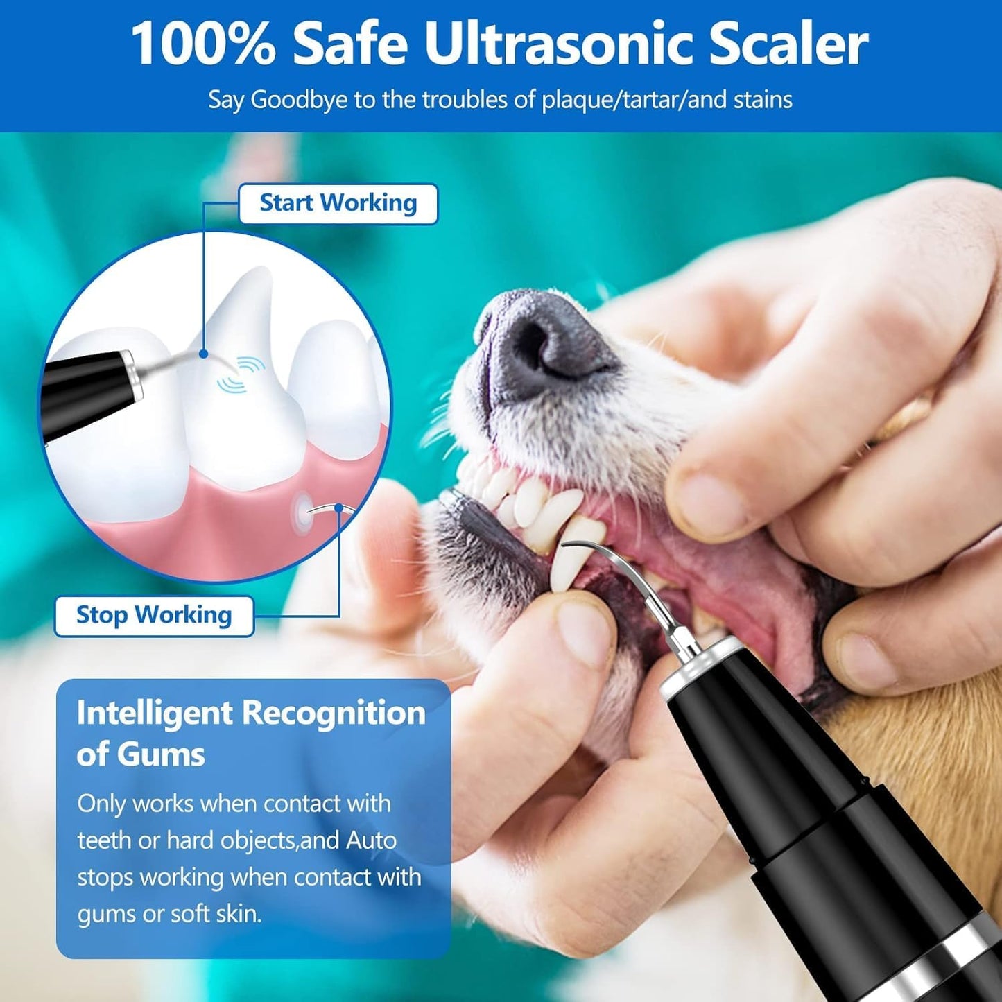 Ultrasonic Tooth Cleaner for Pets – Gentle Dental Care
