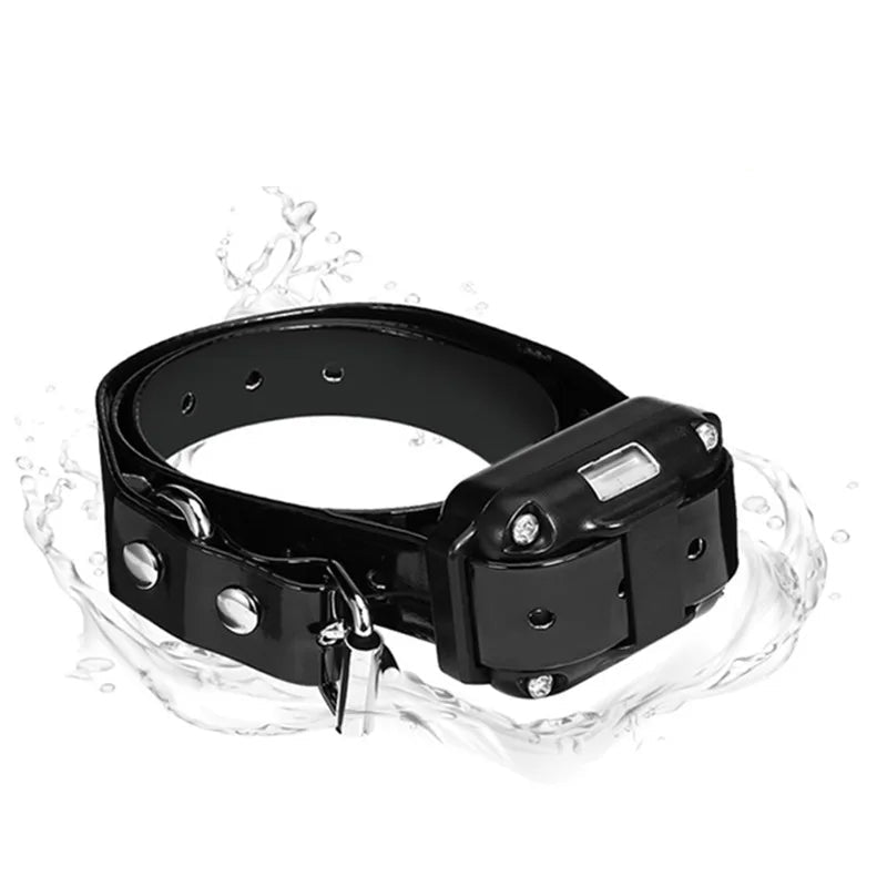 Waterproof Electronic Dog Training Collar with Remote Control