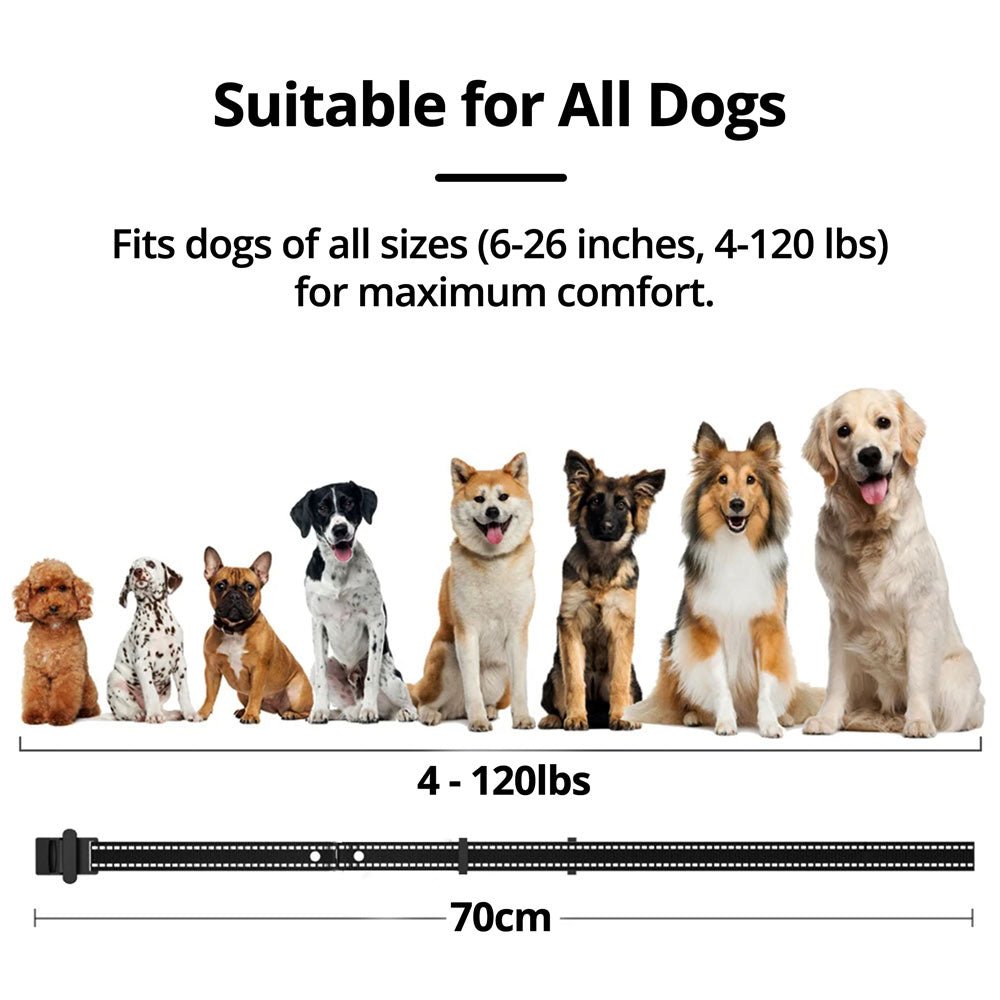 Wireless Dog Fence System with Adjustable Collar
