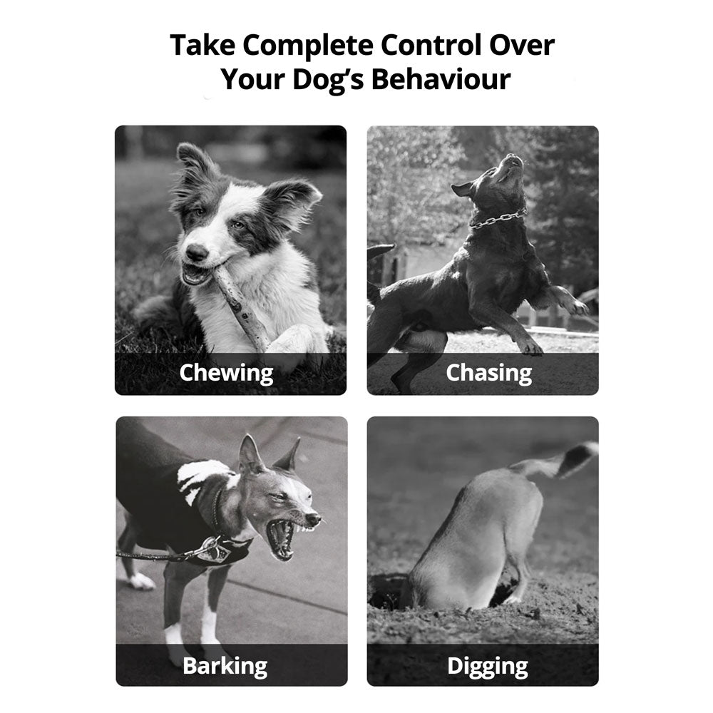 Wireless Dog Fence System with Adjustable Collar